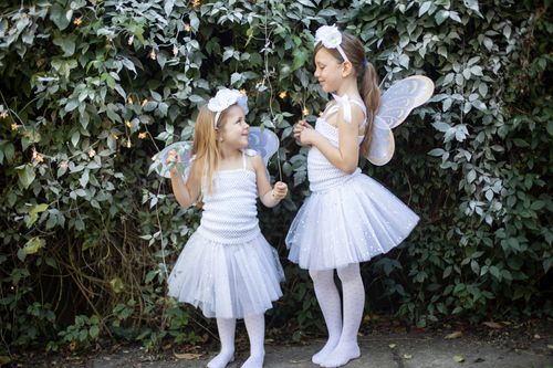 Sparkle Snow Fairy Set